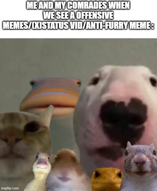 No $#!t | ME AND MY COMRADES WHEN WE SEE A OFFENSIVE MEMES/(X)STATUS VID/ANTI-FURRY MEME : | image tagged in the council remastered | made w/ Imgflip meme maker