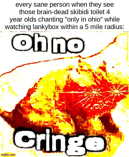 peak shitpost | every sane person when they see those brain-dead skibidi toilet 4 year olds chanting "only in ohio" while watching lankybox within a 5 mile radius: | image tagged in oh no super cringe | made w/ Imgflip meme maker