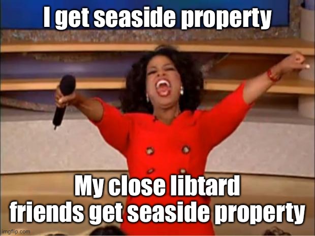 Oprah You Get A Meme | I get seaside property My close libtard friends get seaside property | image tagged in memes,oprah you get a | made w/ Imgflip meme maker