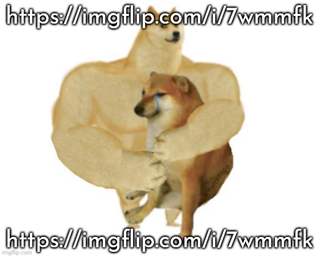 . | https://imgflip.com/i/7wmmfk; https://imgflip.com/i/7wmmfk | image tagged in big brother doge hugging little brother cheems | made w/ Imgflip meme maker