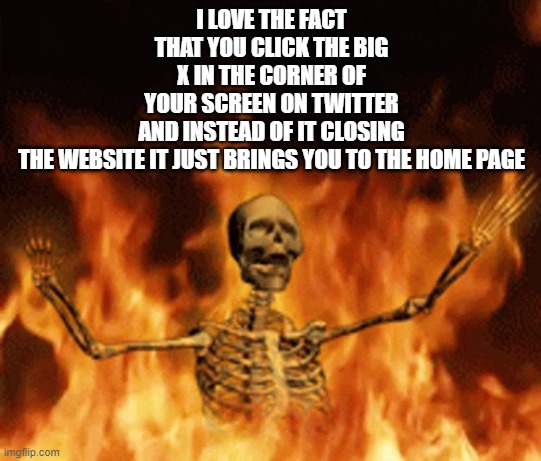 twitter is so bugged elon pls fix | I LOVE THE FACT THAT YOU CLICK THE BIG X IN THE CORNER OF YOUR SCREEN ON TWITTER AND INSTEAD OF IT CLOSING THE WEBSITE IT JUST BRINGS YOU TO THE HOME PAGE | image tagged in skeleton burning in hell | made w/ Imgflip meme maker