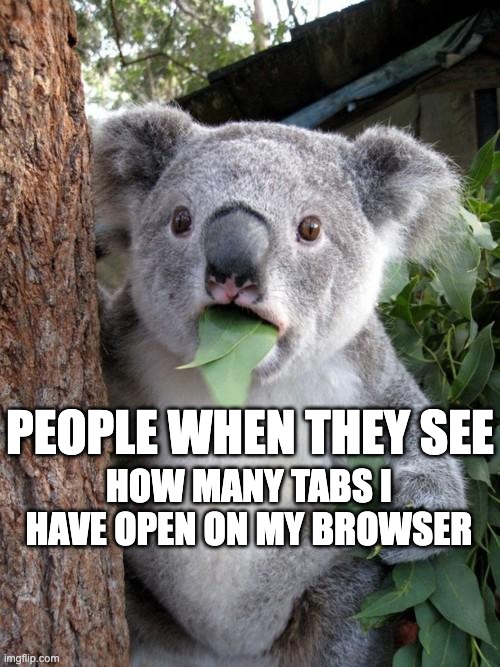 Browser Tabs Koala | PEOPLE WHEN THEY SEE; HOW MANY TABS I HAVE OPEN ON MY BROWSER | image tagged in memes,surprised koala | made w/ Imgflip meme maker