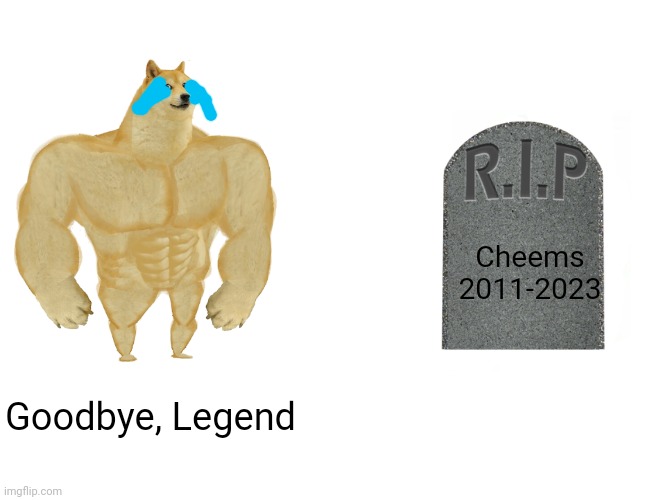 Cheems Dog died 5 days ago | Cheems
2011-2023; Goodbye, Legend | image tagged in memes,buff doge vs cheems,rip,cheems,f in the chat | made w/ Imgflip meme maker