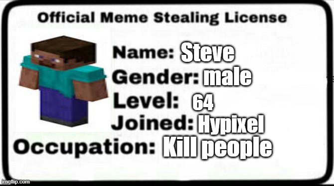 steve | Steve; male; 64; Hypixel; Kill people | image tagged in meme stealing license | made w/ Imgflip meme maker