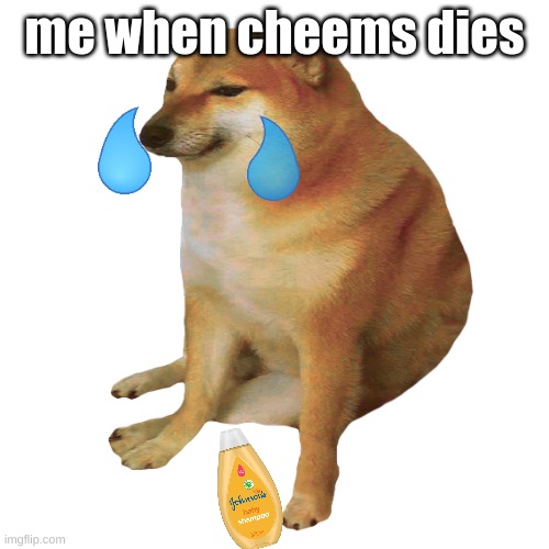 no words just F | me when cheems dies | image tagged in cheems | made w/ Imgflip meme maker