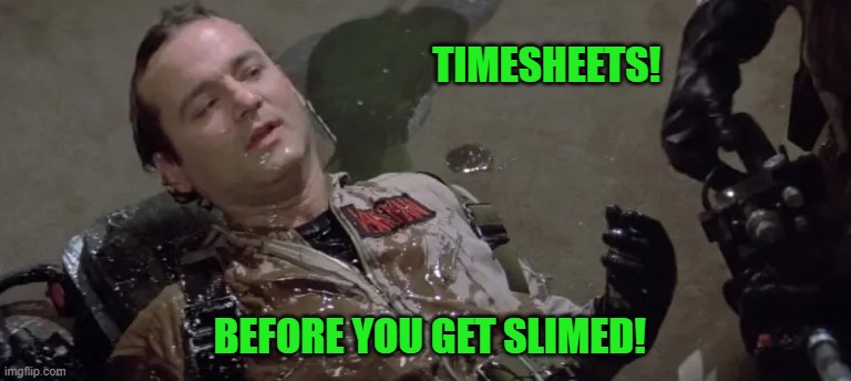 Ghostbuster Timesheet Reminder | TIMESHEETS! BEFORE YOU GET SLIMED! | image tagged in ghostbuster timesheet reminder,ghostbusters,timesheet reminder,timesheet,meme | made w/ Imgflip meme maker