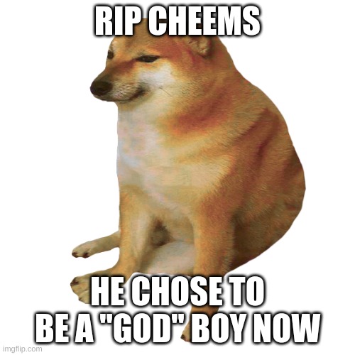 ai's thoughts | RIP CHEEMS; HE CHOSE TO BE A "GOD" BOY NOW | image tagged in cheems | made w/ Imgflip meme maker