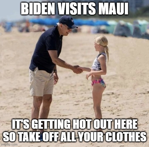 Joe Biden kids | BIDEN VISITS MAUI; IT'S GETTING HOT OUT HERE SO TAKE OFF ALL YOUR CLOTHES | image tagged in joe biden kids | made w/ Imgflip meme maker