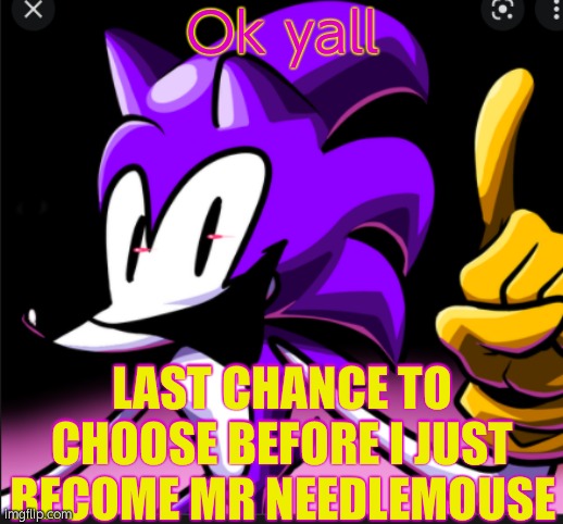 needlemouse doin pose thingie | Ok yall; LAST CHANCE TO CHOOSE BEFORE I JUST BECOME MR NEEDLEMOUSE | image tagged in needlemouse doin pose thingie | made w/ Imgflip meme maker
