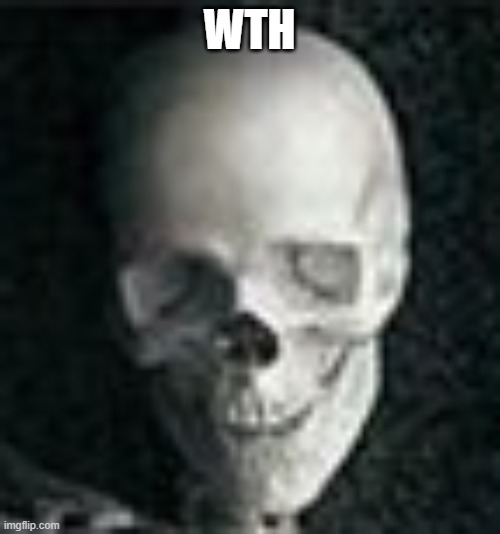 Skull | WTH | image tagged in skull | made w/ Imgflip meme maker