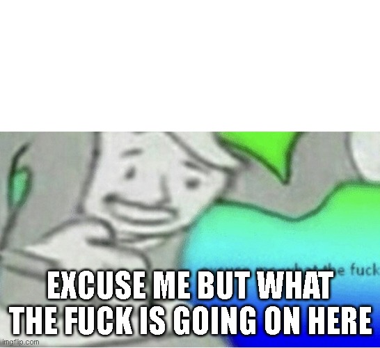 EXCUSE ME BUT WHAT THE FUCK IS GOING ON HERE | image tagged in excuse me wtf blank template | made w/ Imgflip meme maker