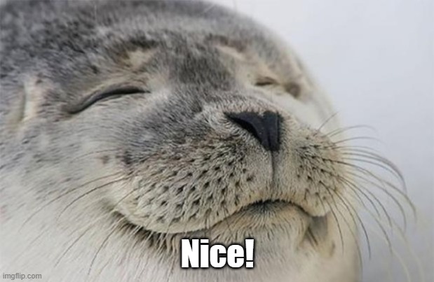 Wholesome Seal | Nice! | image tagged in wholesome seal | made w/ Imgflip meme maker