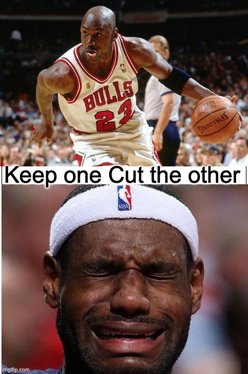 Nba goat | Keep one Cut the other | image tagged in funny,nba,goat,michael jordan,lebron james | made w/ Imgflip meme maker