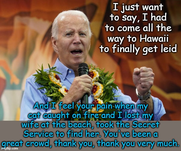 The power to connect--Joe Biden comforts the residents of Maui with some personal humor. | I just want to say, I had to come all the way to Hawaii to finally get leid; And I feel your pain when my cat caught on fire and I lost my wife at the beach, took the Secret Service to find her. You've been a great crowd, thank you, thank you very much. | image tagged in hawaii | made w/ Imgflip meme maker