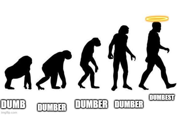 Human Evolution | DUMBEST; DUMBER; DUMBER; DUMBER; DUMB | image tagged in human evolution | made w/ Imgflip meme maker