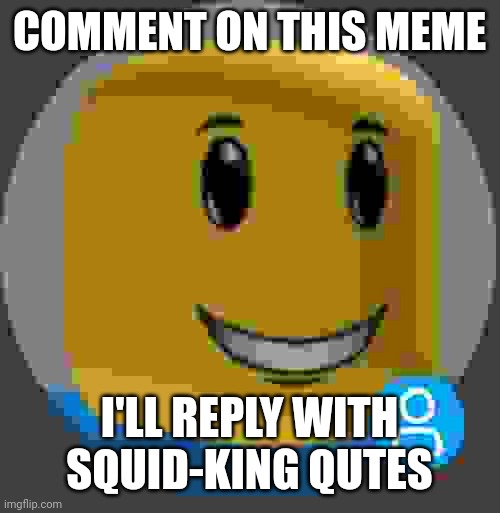 crispi meme | COMMENT ON THIS MEME; I'LL REPLY WITH SQUID-KING QUTES | image tagged in winning smile noob real,memes,changed,idk what i m doing | made w/ Imgflip meme maker