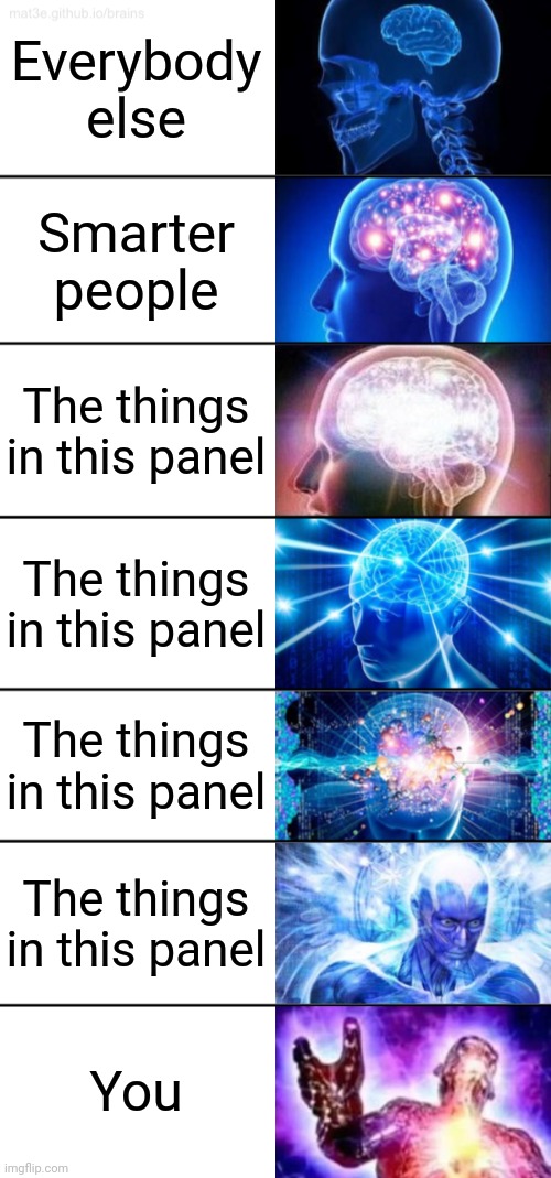 7-Tier Expanding Brain | Everybody else Smarter people The things in this panel The things in this panel The things in this panel The things in this panel You | image tagged in 7-tier expanding brain | made w/ Imgflip meme maker