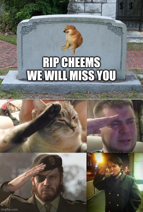 RIP CHEEMS
WE WILL MISS YOU | image tagged in gravestone,ozon's salute | made w/ Imgflip meme maker