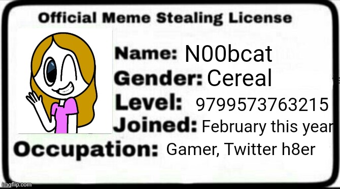 Meme Stealing License | N00bcat; Cereal; 9799573763215; February this year; Gamer, Twitter h8er | image tagged in meme stealing license | made w/ Imgflip meme maker