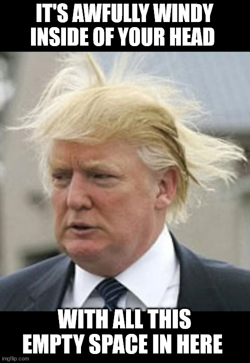 Donald Trump 1 | IT'S AWFULLY WINDY INSIDE OF YOUR HEAD; WITH ALL THIS EMPTY SPACE IN HERE | image tagged in donald trump 1,trump in your head | made w/ Imgflip meme maker