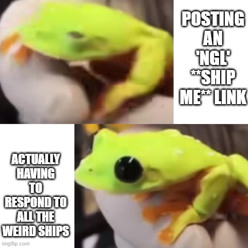 RIYALISASHON HITZ | POSTING AN 'NGL' **SHIP ME** LINK; ACTUALLY HAVING TO RESPOND TO ALL THE WEIRD SHIPS | image tagged in fwog | made w/ Imgflip meme maker