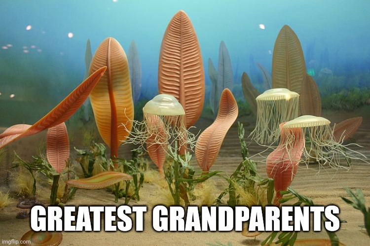 GREATEST GRANDPARENTS | made w/ Imgflip meme maker