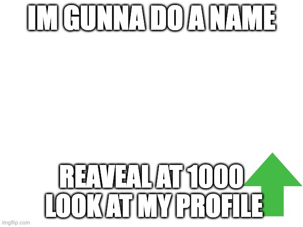 name rev | IM GUNNA DO A NAME; REAVEAL AT 1000  LOOK AT MY PROFILE | image tagged in blank white template | made w/ Imgflip meme maker