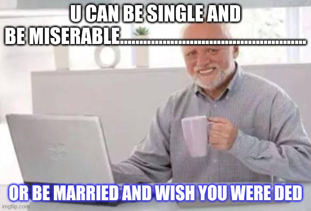 Harold | U CAN BE SINGLE AND
BE MISERABLE................................................ OR BE MARRIED AND WISH YOU WERE DED | image tagged in harold | made w/ Imgflip meme maker