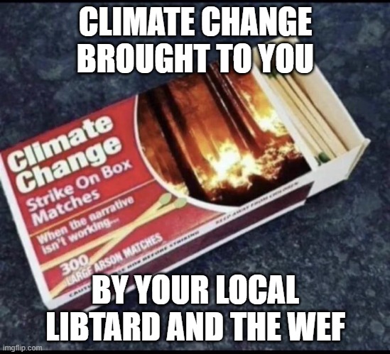 Climate Change | CLIMATE CHANGE BROUGHT TO YOU; BY YOUR LOCAL LIBTARD AND THE WEF | image tagged in climate change | made w/ Imgflip meme maker