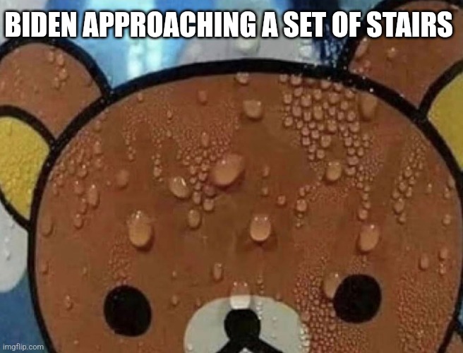 BIDEN APPROACHING A SET OF STAIRS | image tagged in funny memes | made w/ Imgflip meme maker