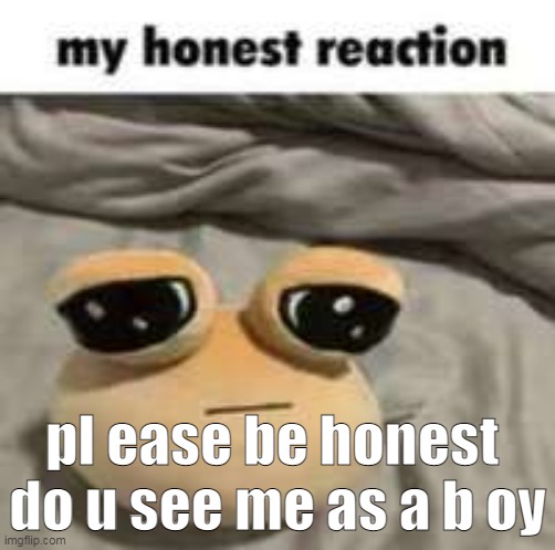 yea | pl ease be honest 
do u see me as a b oy | image tagged in my honest reaction | made w/ Imgflip meme maker