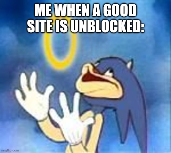 There is a site where you can play usually downloaded games online. Today I found out it has finally been unblocked on the schoo | ME WHEN A GOOD SITE IS UNBLOCKED: | image tagged in joyful sonic | made w/ Imgflip meme maker
