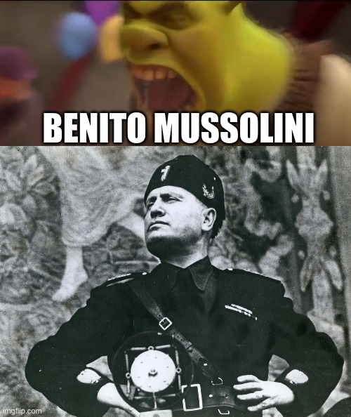 BENITO MUSSOLINI | image tagged in shrek screaming,mussolini | made w/ Imgflip meme maker