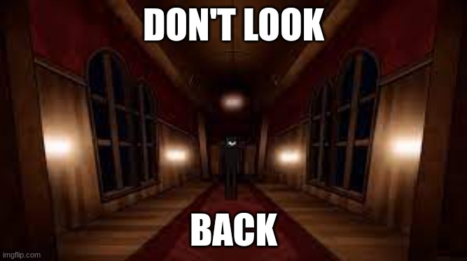 don't look | DON'T LOOK; BACK | image tagged in fun | made w/ Imgflip meme maker