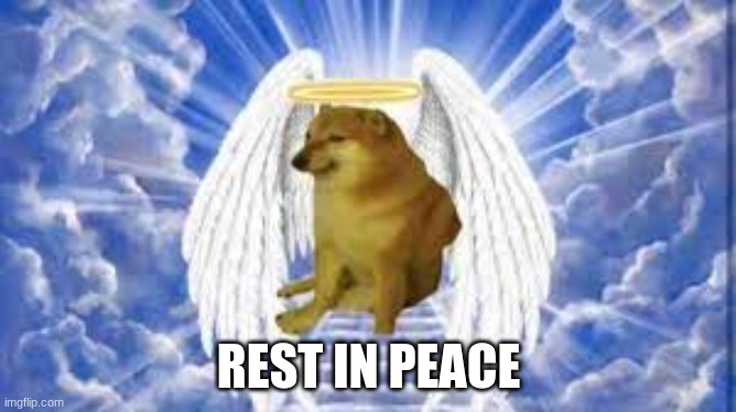 nooooo | REST IN PEACE | image tagged in cheems,died | made w/ Imgflip meme maker
