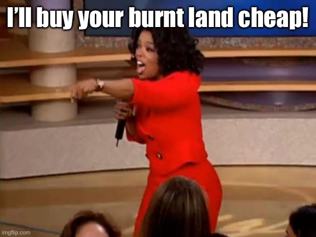 Oprah - you get a car | I’ll buy your burnt land cheap! | image tagged in oprah - you get a car | made w/ Imgflip meme maker