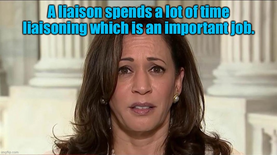 kamala harris | A liaison spends a lot of time liaisoning which is an important job. | image tagged in kamala harris | made w/ Imgflip meme maker