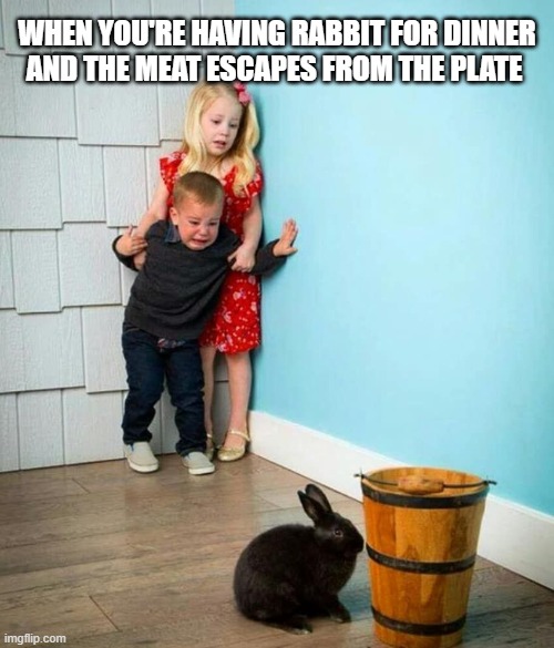 I hope it doesn't happen tonight | WHEN YOU'RE HAVING RABBIT FOR DINNER
AND THE MEAT ESCAPES FROM THE PLATE | image tagged in children scared of rabbit,food,dinner,rabbit,kids,meat | made w/ Imgflip meme maker