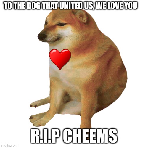 To cheems | TO THE DOG THAT UNITED US, WE LOVE YOU; R.I.P CHEEMS | image tagged in cheems | made w/ Imgflip meme maker