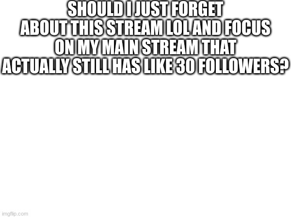 should I? | SHOULD I JUST FORGET ABOUT THIS STREAM LOL AND FOCUS ON MY MAIN STREAM THAT ACTUALLY STILL HAS LIKE 30 FOLLOWERS? | image tagged in lol | made w/ Imgflip meme maker