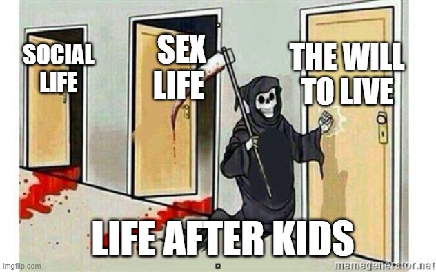 Grim Reaper Knocking Door | THE WILL TO LIVE; SEX LIFE; SOCIAL LIFE; LIFE AFTER KIDS | image tagged in grim reaper knocking door | made w/ Imgflip meme maker