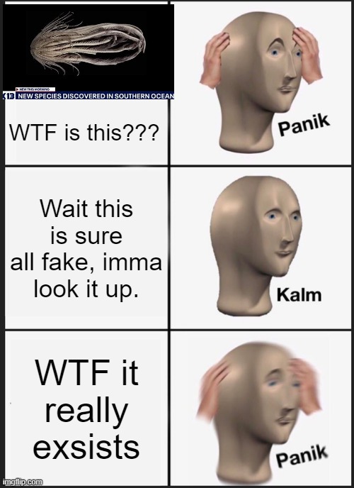 Panik Kalm Panik | WTF is this??? Wait this is sure all fake, imma look it up. WTF it really exsists | image tagged in memes,panik kalm panik | made w/ Imgflip meme maker