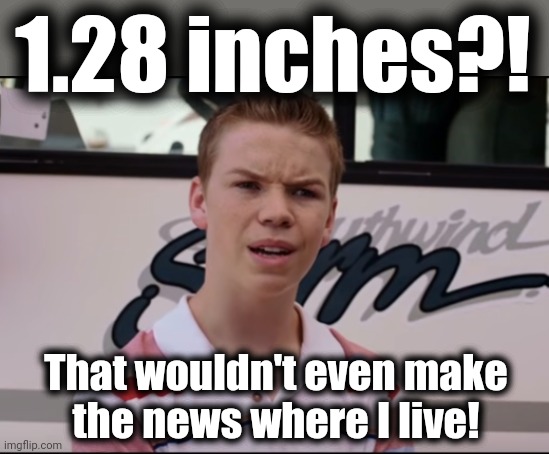 You Guys are Getting Paid | 1.28 inches?! That wouldn't even make
the news where I live! | image tagged in you guys are getting paid | made w/ Imgflip meme maker