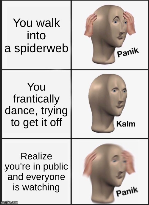 Panik Kalm Panik | You walk into a spiderweb; You frantically dance, trying to get it off; Realize you're in public and everyone is watching | image tagged in memes,panik kalm panik | made w/ Imgflip meme maker