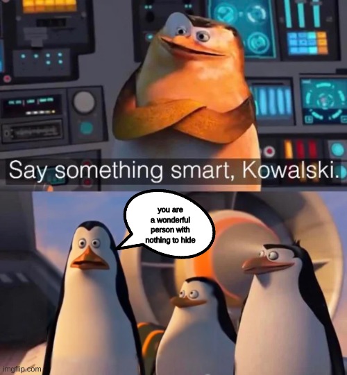 wholesome meme to cheer you up | you are a wonderful person with nothing to hide | image tagged in say something smart kowalski | made w/ Imgflip meme maker