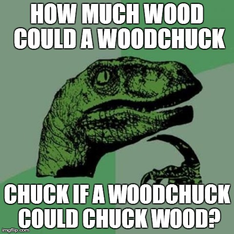 The world may never know.. | HOW MUCH WOOD COULD A WOODCHUCK CHUCK IF A WOODCHUCK COULD CHUCK WOOD? | image tagged in memes,philosoraptor | made w/ Imgflip meme maker