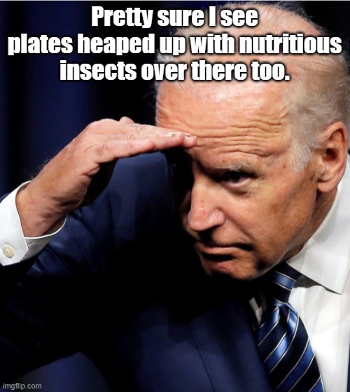 Biden looking for an honest politician | Pretty sure I see plates heaped up with nutritious insects over there too. | image tagged in biden looking for an honest politician | made w/ Imgflip meme maker