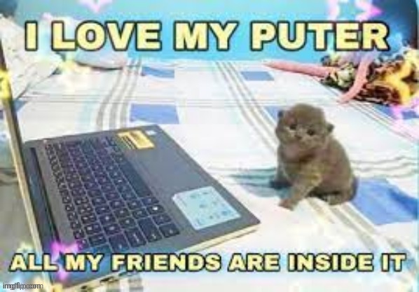 neat, this stream has 9,000 followers | image tagged in i love my puter | made w/ Imgflip meme maker