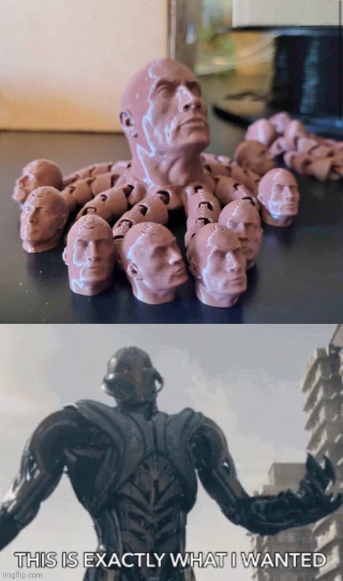 Cursed Rocktopus with the rock heads | image tagged in this is exactly what i wanted,rocktopus,the rock,heads,cursed image,memes | made w/ Imgflip meme maker