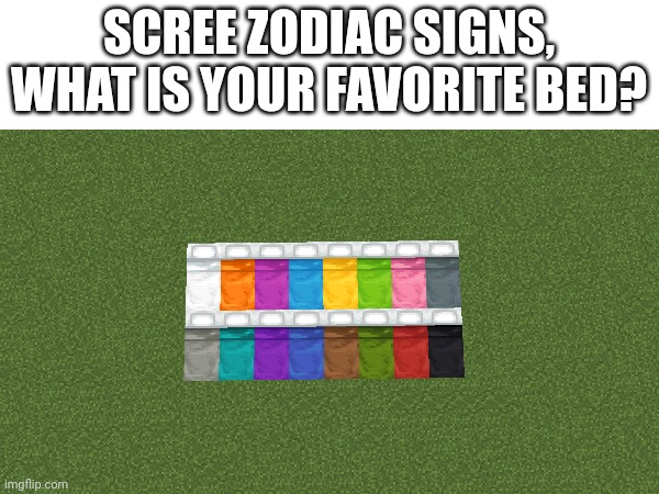 SCREE ZODIAC SIGNS, WHAT IS YOUR FAVORITE BED? | image tagged in memes,zodiac,minecraft,zodiac signs,opinion,ok | made w/ Imgflip meme maker